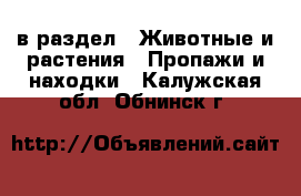  в раздел : Животные и растения » Пропажи и находки . Калужская обл.,Обнинск г.